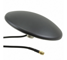 TANGO14/1M/LL/SMAM/S/S/24