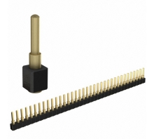 812-22-036-30-007101