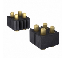 813-SS-018-30-022101