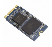 APM2T42P100064GAN-7TM