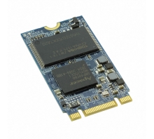 APM2T42P100032GAN-8TM