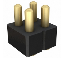 813-22-004-30-004101