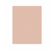 5MIC 3M261X SHEET 8.5X11