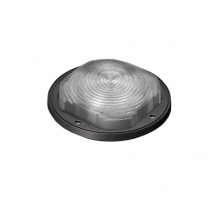 FN14720_STELLA-FRESNEL