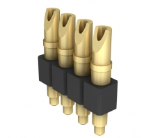 824-22-004-00-005000