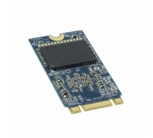 APM2T42P100064GAN-1TM