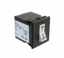 R21-2-10.0A-B102IV-V