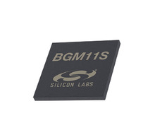 BGM11S12F256GA-V2