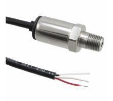 P51-300-G-A-I36-20MA-000-000