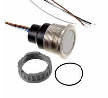 CPS22-LA00A10-SNCCWTWF-AI0CMVAR-W0000-S