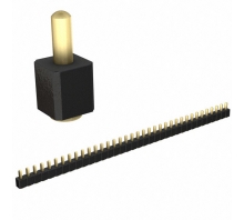 811-22-036-30-004101