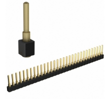 812-22-031-30-002101